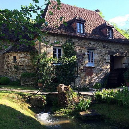 Le Moulin De La Beune Hotel Les Eyzies Exterior foto