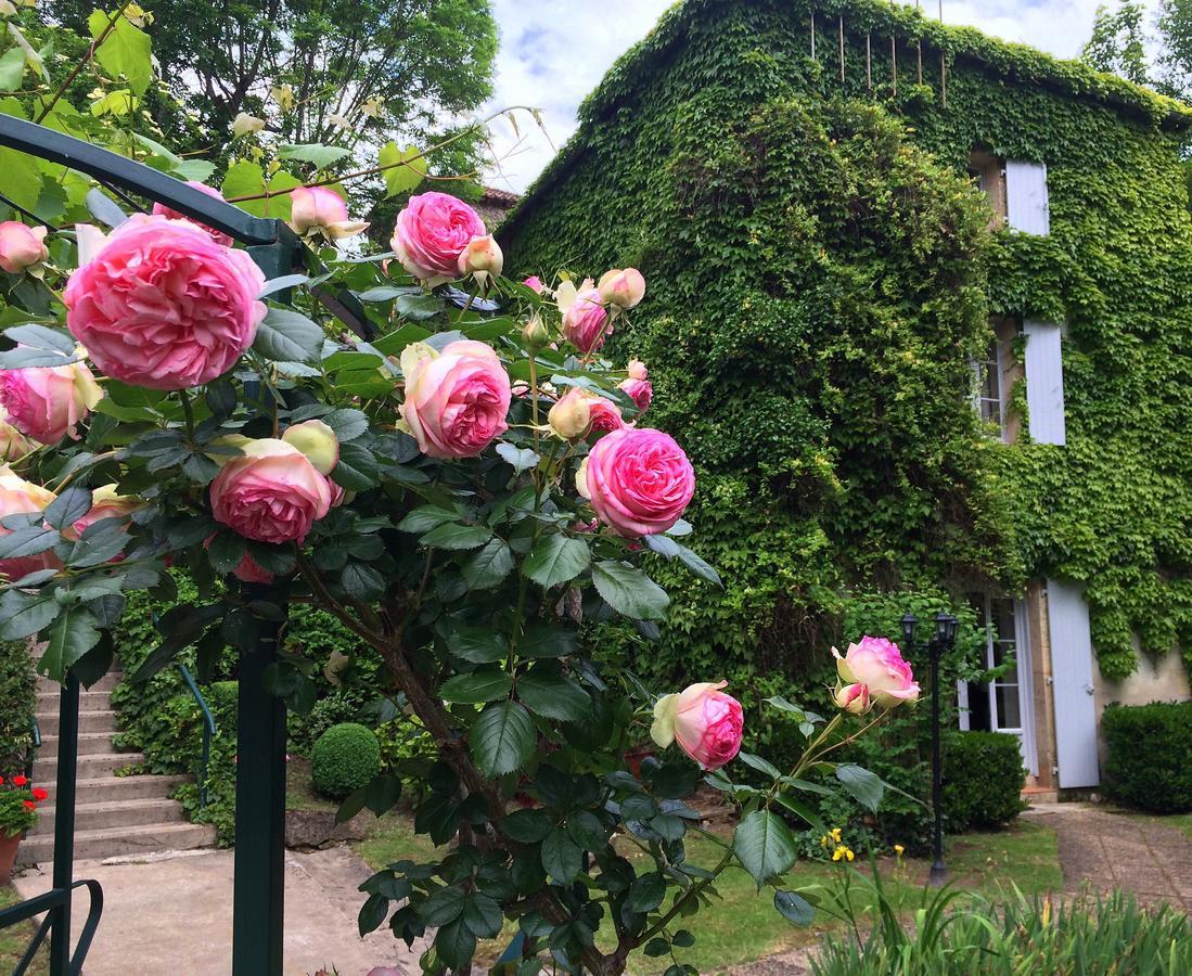 Le Moulin De La Beune Hotel Les Eyzies Exterior foto